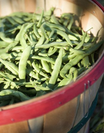 5��Superfood�Գ����ۺü���