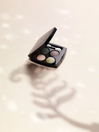 2011���ζ�ȫ���ļ���ױ ���ջ�԰ϵ��