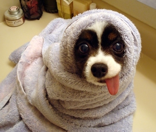 �����ȡ�����ϵС���