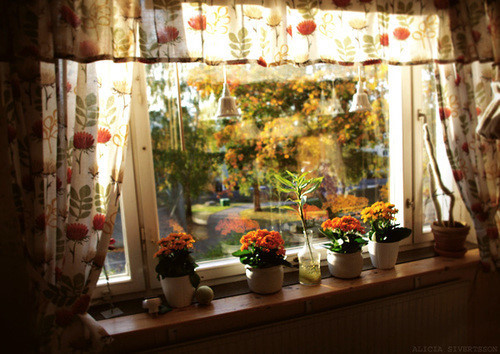 Ů��Ҫѧ��DIY�Լ��ķ���