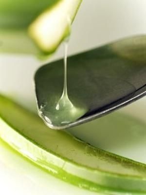 ɹ������ ����DIY��ζ��Ĥ