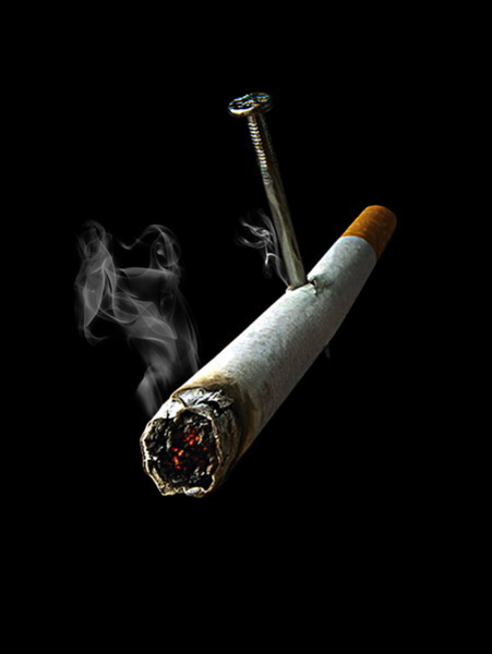 想减肥?饭后绝对不能这九件事