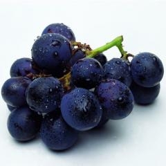 8����������ˮ�� �Գ�ˮ��