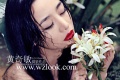 ����+��Ů �����Ӿ���Ƭ��ˮ�л���