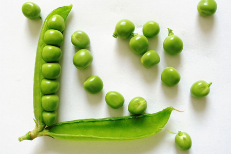 ţ����ʦ���㡰���óԲŻ�ס�