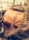 �Ϻ�̲2011����ϵ�вӱ� ��ȡ������ξ���