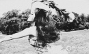 ģ�س�ѩ����ڰ�ɫ�Ļ���