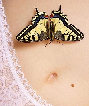 ������̲����� �����̺۵��ĸ�С����
