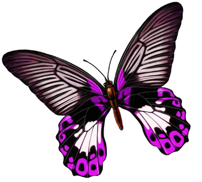 �ϵ�Ϊ�飬ĮȻһ��