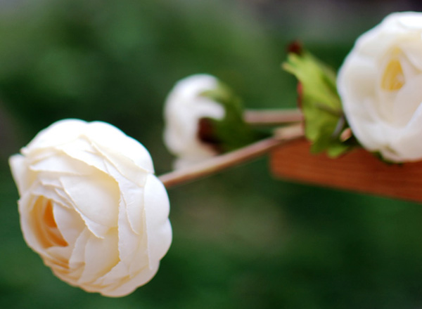��˼�ҡ���Եǳ���쳾һ�ε�ָ��