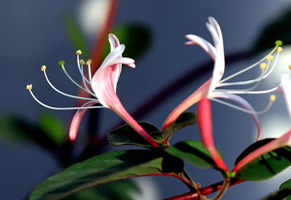 �Ұ����˺Ͱ��ҵ��ˣ����ѡ��һ����