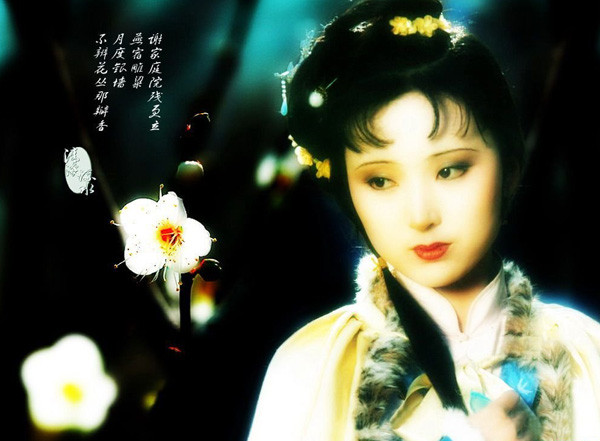 《红楼梦》中贾宝玉和林黛玉爱情的净化和升华
