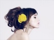 ʮ�ּ�Ҳ���� 2012�ﶬӢʽ��Ʒ���ȿ�