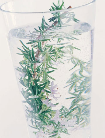 喝出水润感肌肤 8款美容花草茶推荐