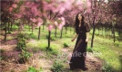 ����粵��ϡ�����marieclaire�����¿�����