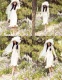 �����Vogue��� ����7����������