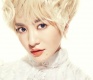 ���ɸ��Ž���촽 ��ޱ��Ѹ������