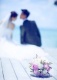 ��˼��١��櫽��մ�� Ψ����̲��ɴ���ع�