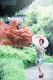 ��Ҷӡ������д�� �����������½�����