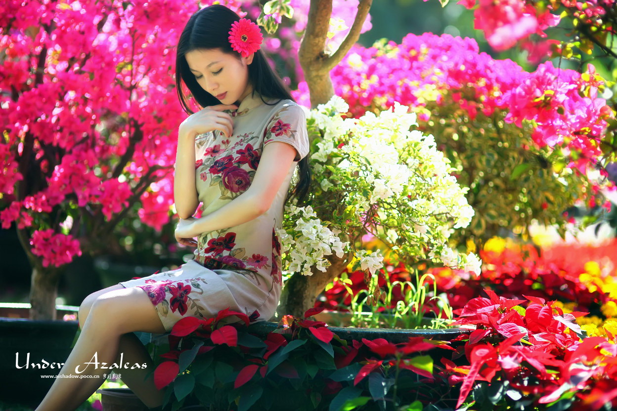 �ž黨��