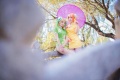 �й���4ɫ������������COS��