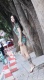 ��ɫӡ�����������۴������º����ģ�����������������ʱ��Ԫ��