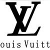 ȫ����<em>LV</em>����˵ĵط�