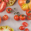 7�����ʳ��������ɫ��˥��