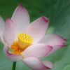 ����߽�Ϊ���һ��<em>ˮī</em>����