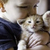 ӵ�г����10�������洦