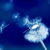 һ������ һ���� һ���쳾 һ�ڸ�