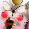 Accessorize 2011����ϵ�� ��������������