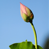 ����ǳ<em>ī</em>���������