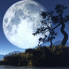������밮���йص�8�׹�<em>ʫ</em>