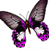 �ϵ�Ϊ�飬ĮȻһ��