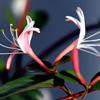 �Ұ����˺Ͱ��ҵ��ˣ����ѡ��һ����