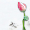�Ŵ�<em>ʫ</em>������Щ���˾��޵ľ���