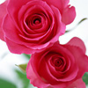 5��<em>DIY</em>õ����� ��ʵ����ʡǮ