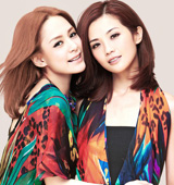 <em>TWINS</em>������д�棺����������