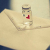 ��������ɹ����˱������������Ů