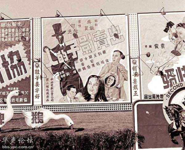 1948�����Ϻ���ͷ�ĸ�����