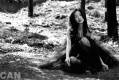д���Ƭ��Vivian�ĺڰ�ɭ��