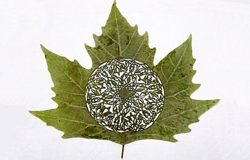 惊艳的树叶雕刻艺术