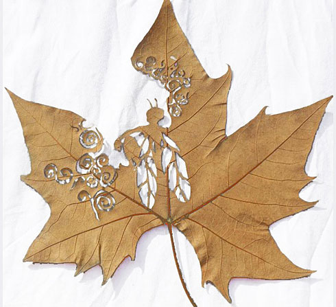 惊艳的树叶雕刻艺术