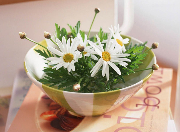 �쳾һ����ǧ�꣬��įһ�������