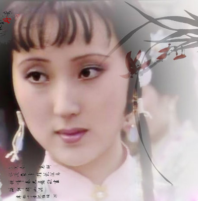 情解黛玉原型之谜