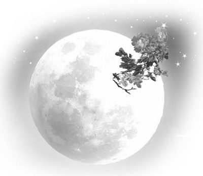 中秋月思
