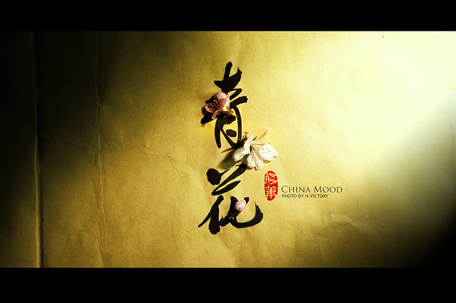 Ψ�����й��羲��д�棺CHINA MOOD