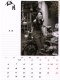 ��־��2013����������ع�