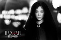 �쾲������д�� �ڰ�ɫ����������